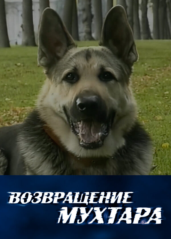 Возвращение Мухтара 10 сезон сериал постер